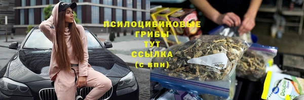 а пвп мука Алзамай