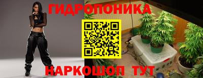 шишки Гусь-Хрустальный