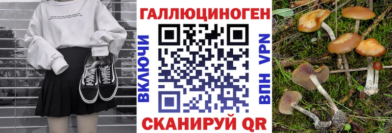 Псилоцибиновые грибы GOLDEN TEACHER Миасс