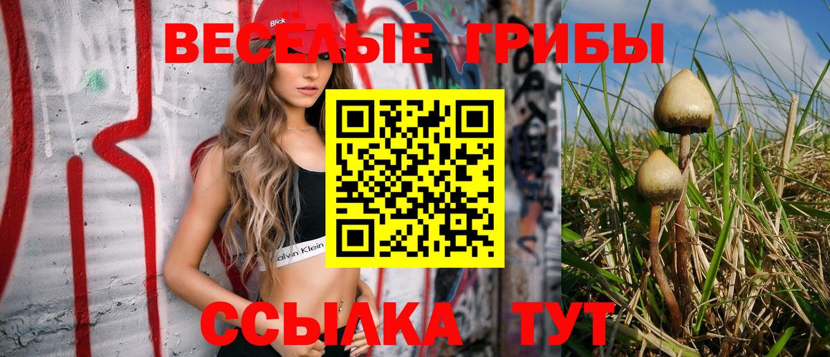 Псилоцибиновые грибы ЛСД Миасс